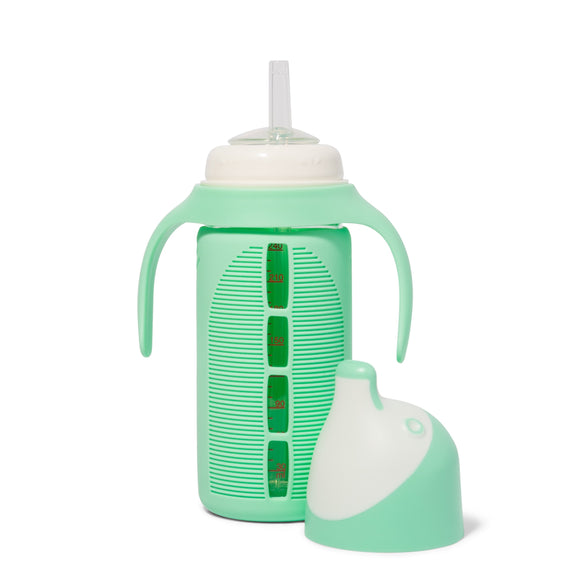 Glass Sippy Cup, Mint Green